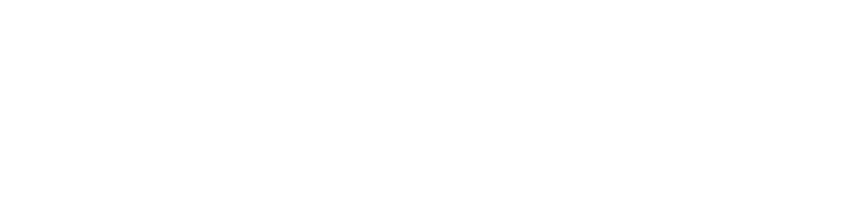 PaceUp Logo
